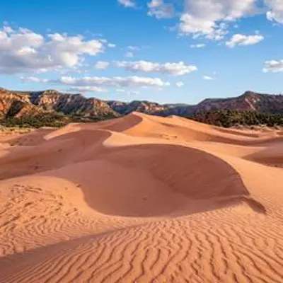 Coral Pink Sand Dunes