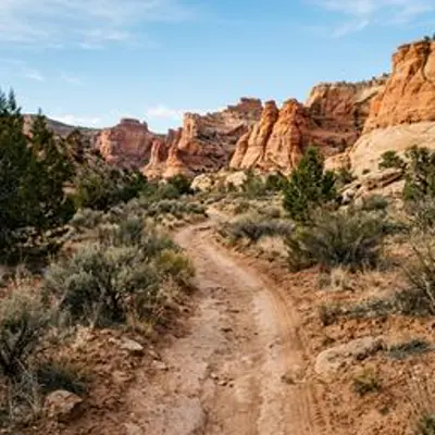 Crocodile Trail